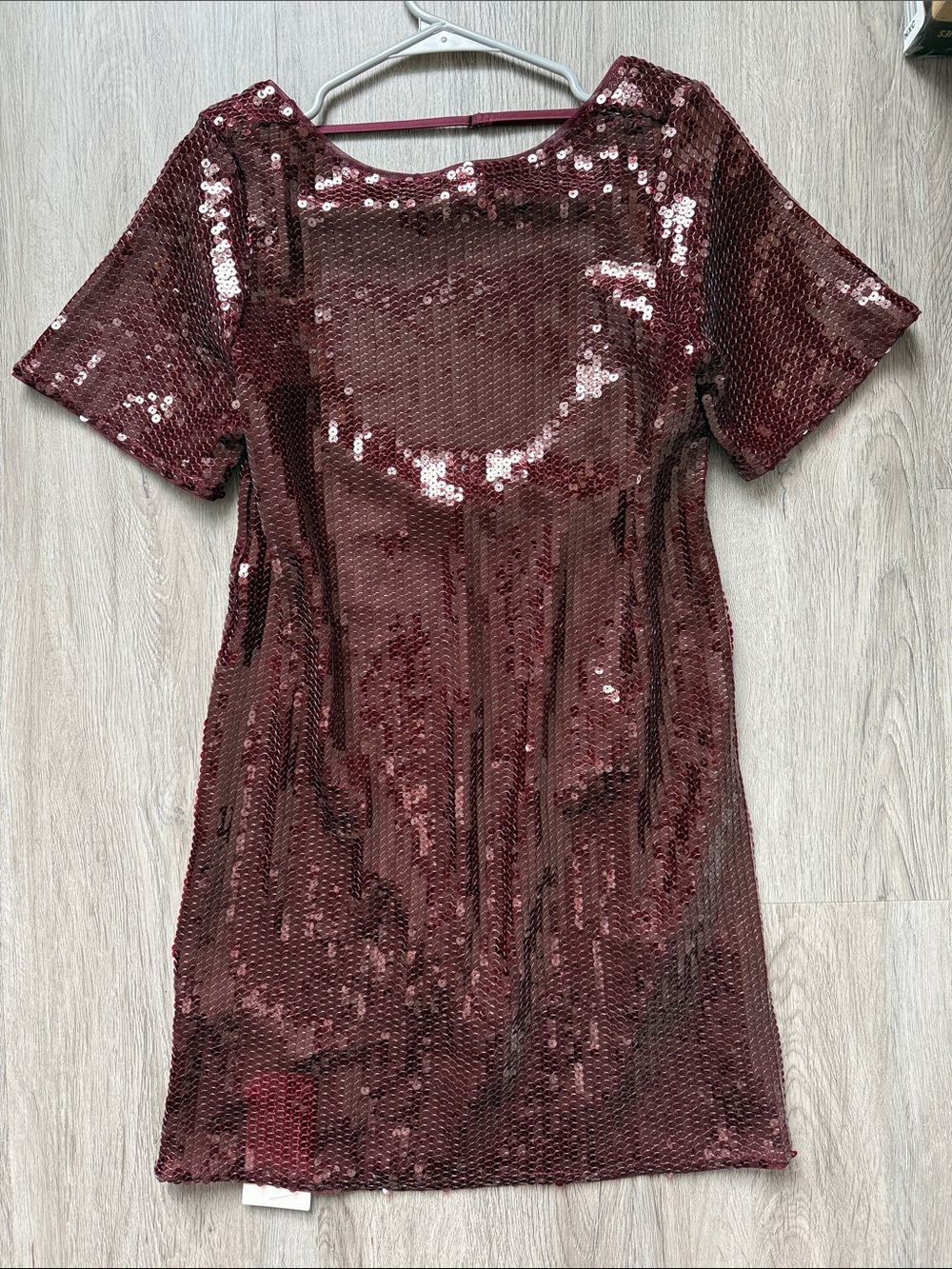 Abercrombie & Fitch Burgundy Sequin Mini Dress